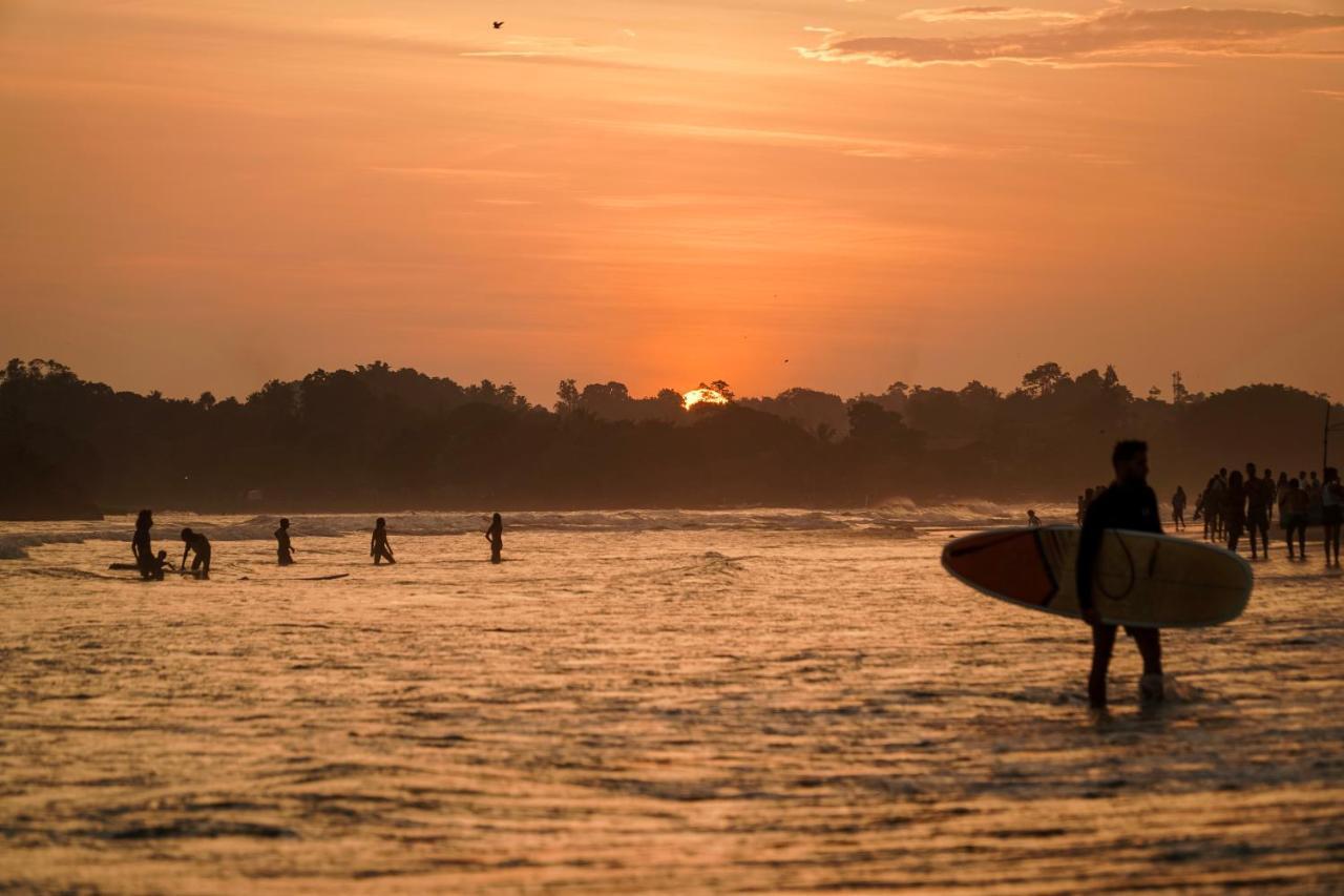 Lucky'S Surf Camp Bed and Breakfast Weligama Eksteriør billede