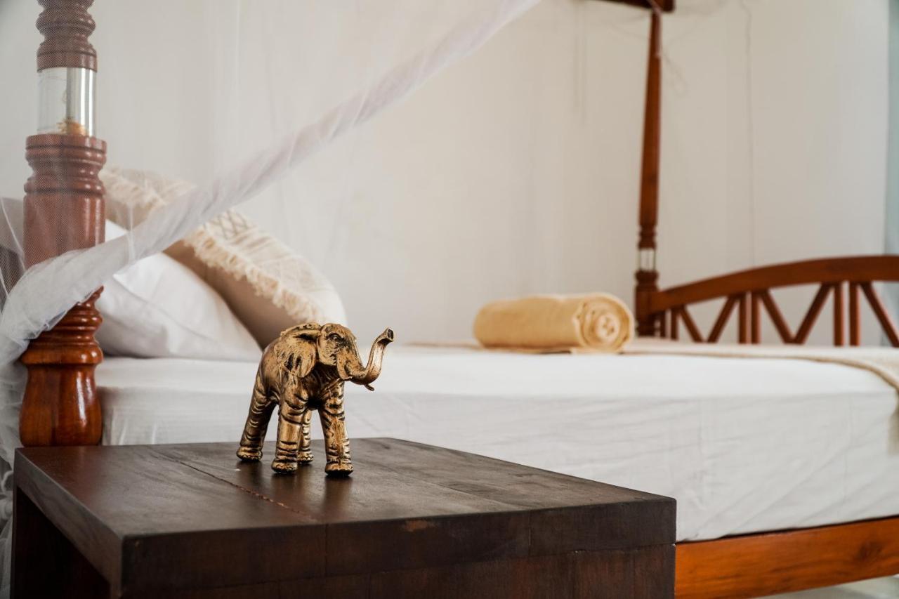 Lucky'S Surf Camp Bed and Breakfast Weligama Eksteriør billede